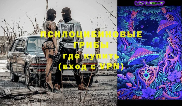 хмурый Алексеевка