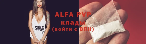 шишки Гусь-Хрустальный