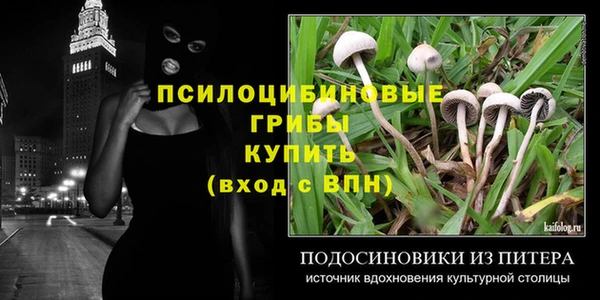 хмурый Алексеевка