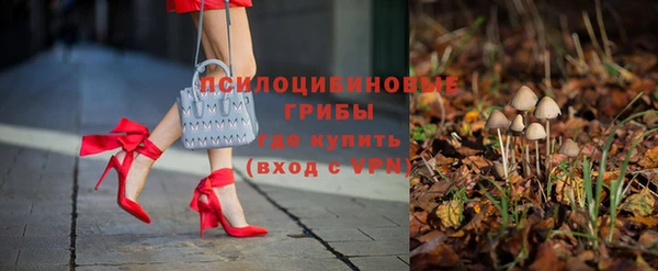 бошки Елабуга