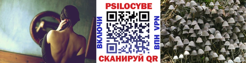 где продают   KRAKEN ссылки  Псилоцибиновые грибы GOLDEN TEACHER  Сенгилей 